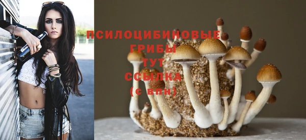 спайс Баксан