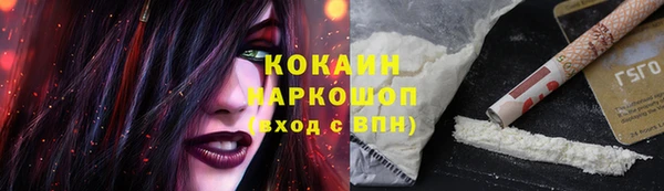 спайс Баксан