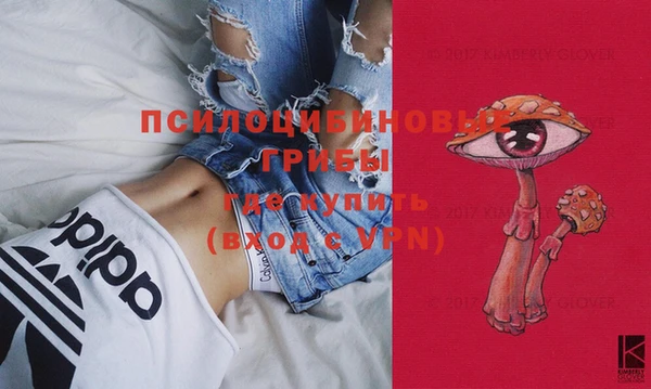 спайс Баксан