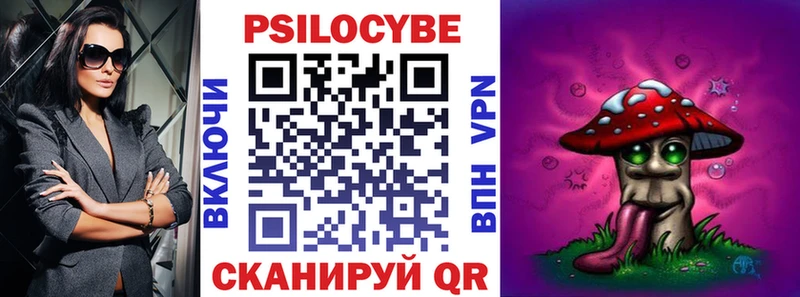 Галлюциногенные грибы Psilocybine cubensis Иркутск